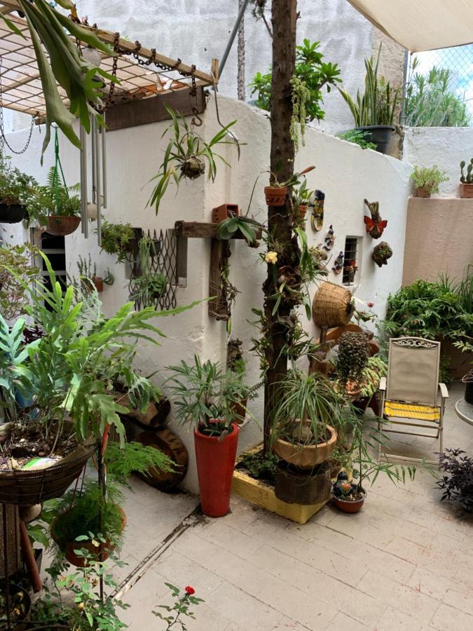 과달라하라 Casa La Minerva 아파트 외부 사진